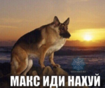 1752398294090.png
