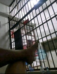 IMG_2212.jpeg
