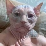 6f2423fa9743e36f9914ba34e27b6aa1.jpg