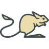 jerboa