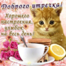 Yaryy