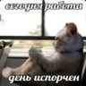 Servelat